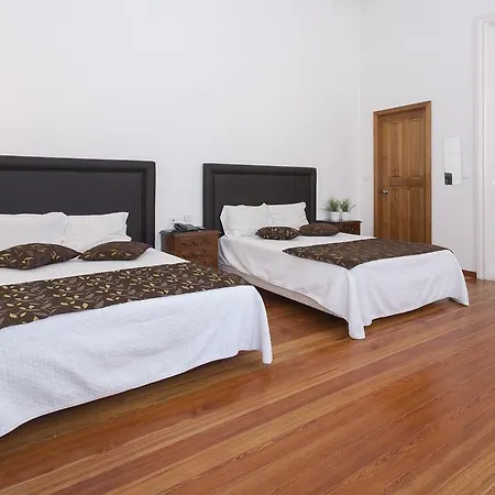 The Rex - Mansion House - Private Parking Hotel Porto