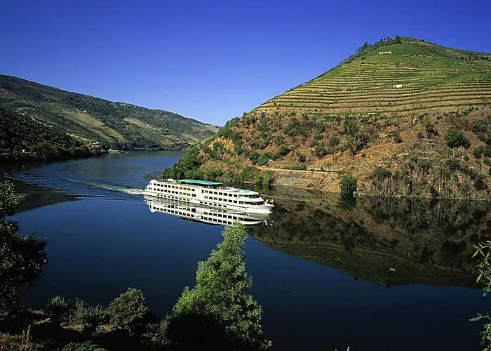 호텔 The Rex - Mansion House - Private Parking 2*